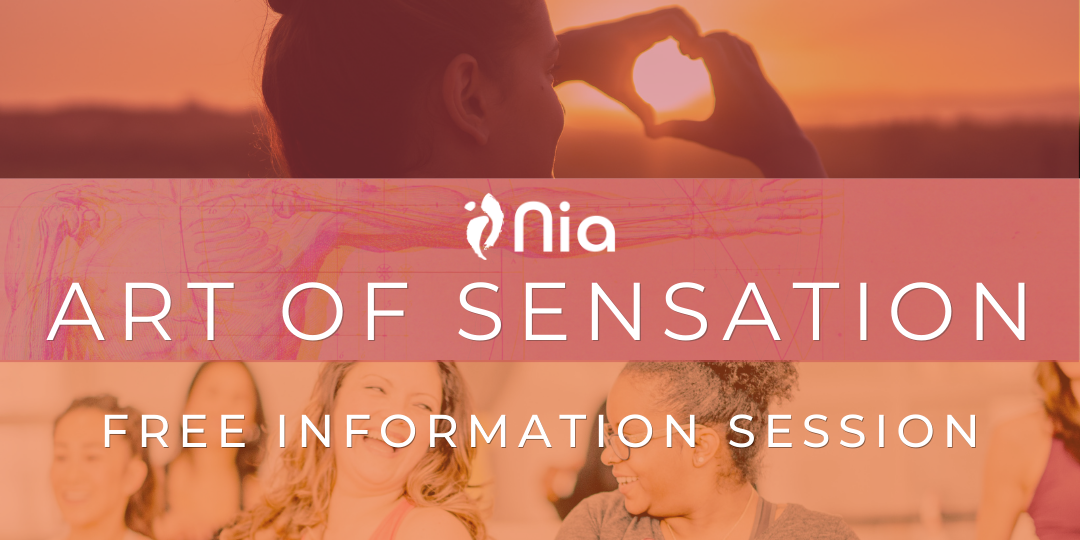 Art of Sensation Information Session